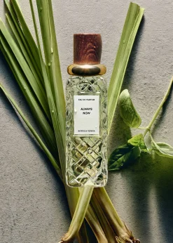 Bottega VenetaAlways Now Eau de Parfum, 3.3 oz.