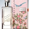 ChantecailleDarby Rose, Parfums Pour Femme, 2.5 oz