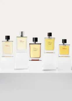 HermesTerre d'Hermes Eau de Toilette, 3.3 oz.