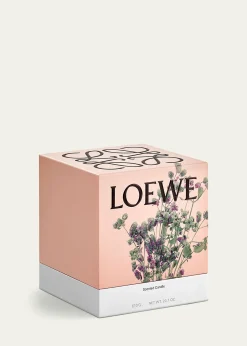 Loewe21.5 oz. Medium Oregano Candle