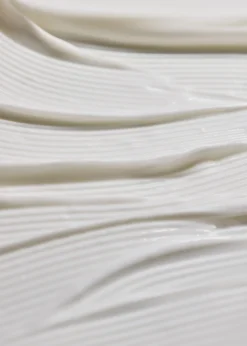 Neuraeénergie The Cream