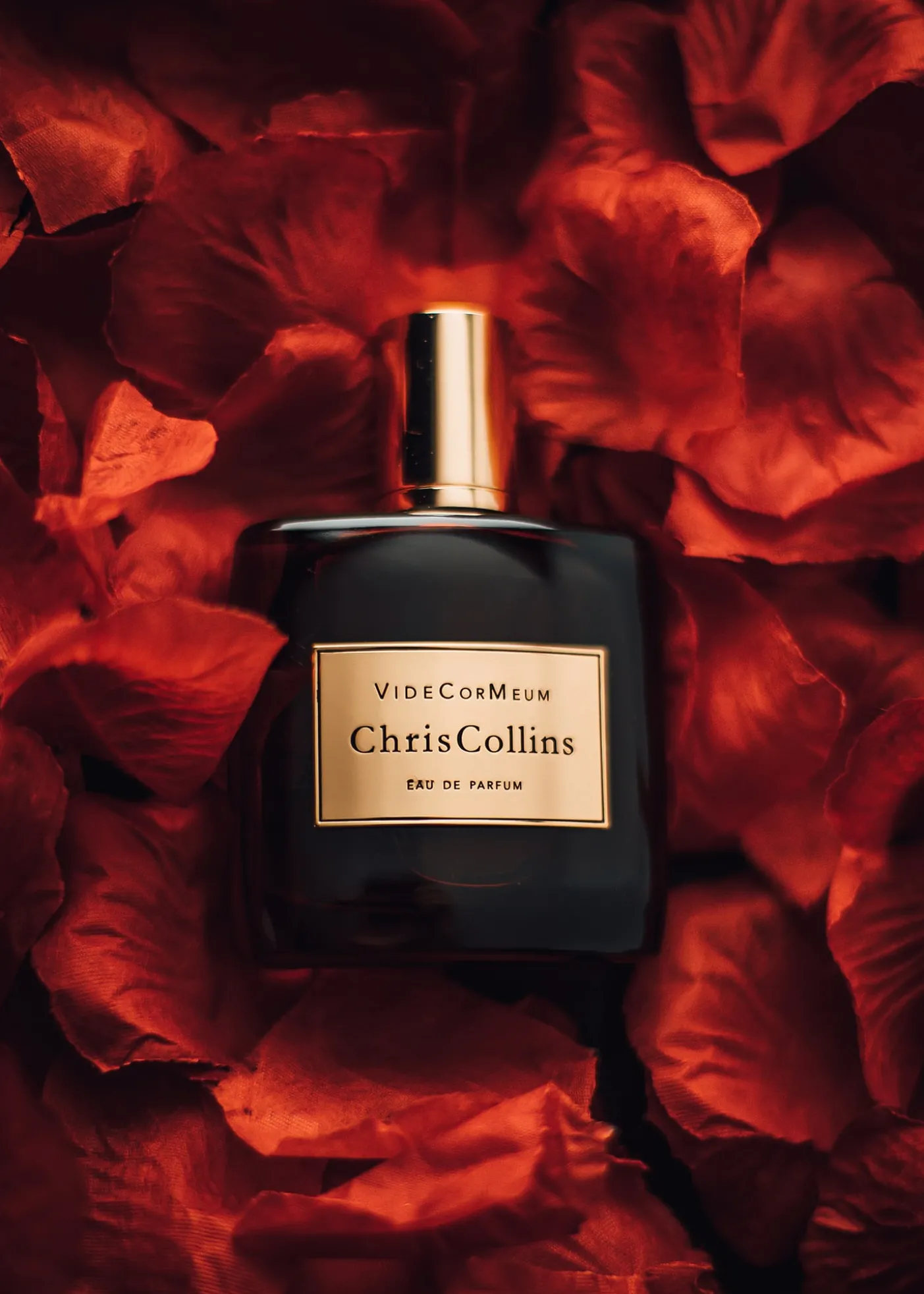 World of Chris CollinsVide Cor Meum Eau de Parfum, 1.7 oz./ 50 mL